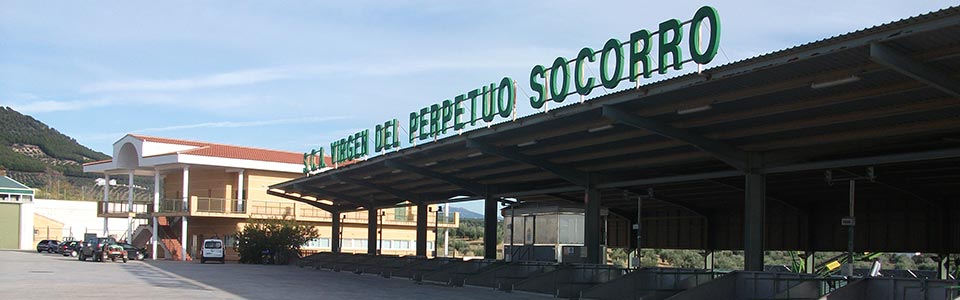 s.c.a. Virgen del Perpetuo Socorro